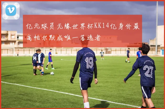 亿元球员无缘世界杯KK14亿身价最高帕尔默成唯一落选者