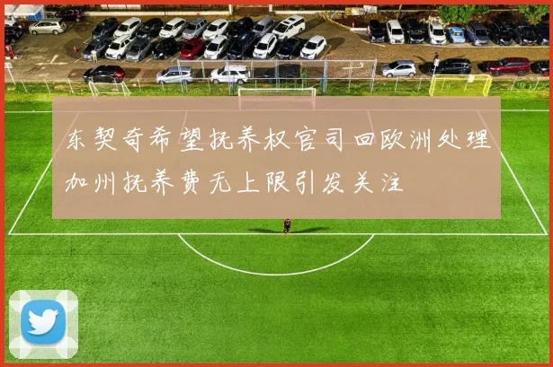 东契奇希望抚养权官司回欧洲处理加州抚养费无上限引发关注